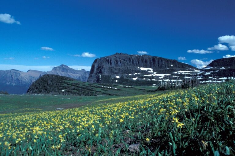 Glacier National Park