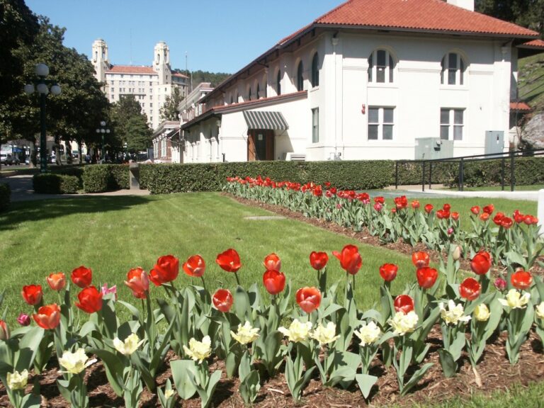 Hot Springs