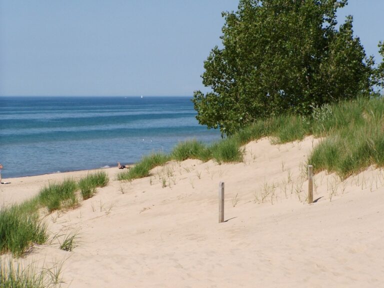 Indiana Dunes