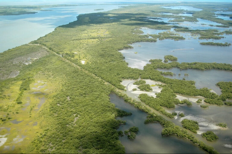 Everglades National Park