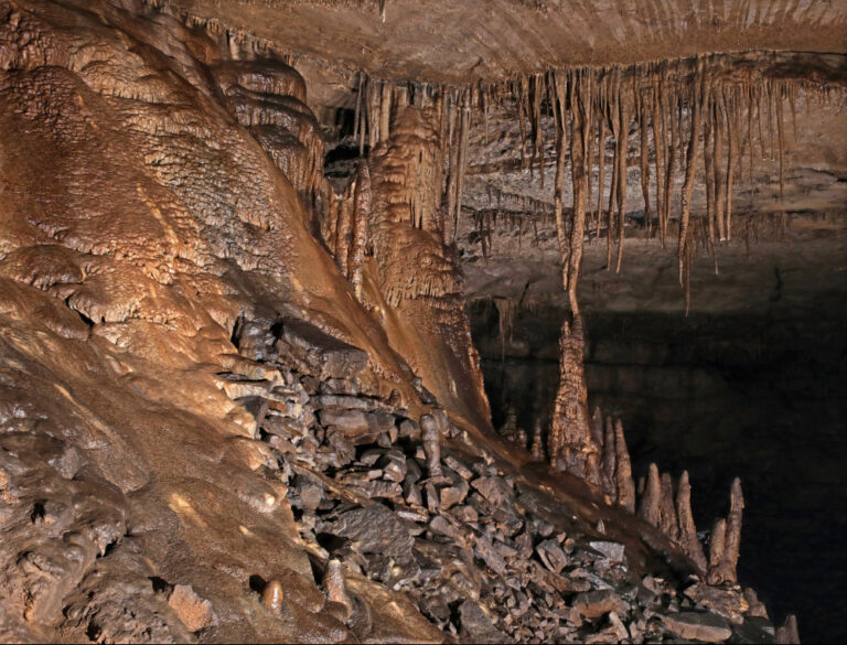 Mammoth Cave National Park