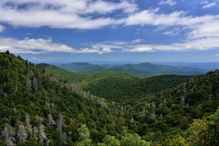 Shenandoah National Park